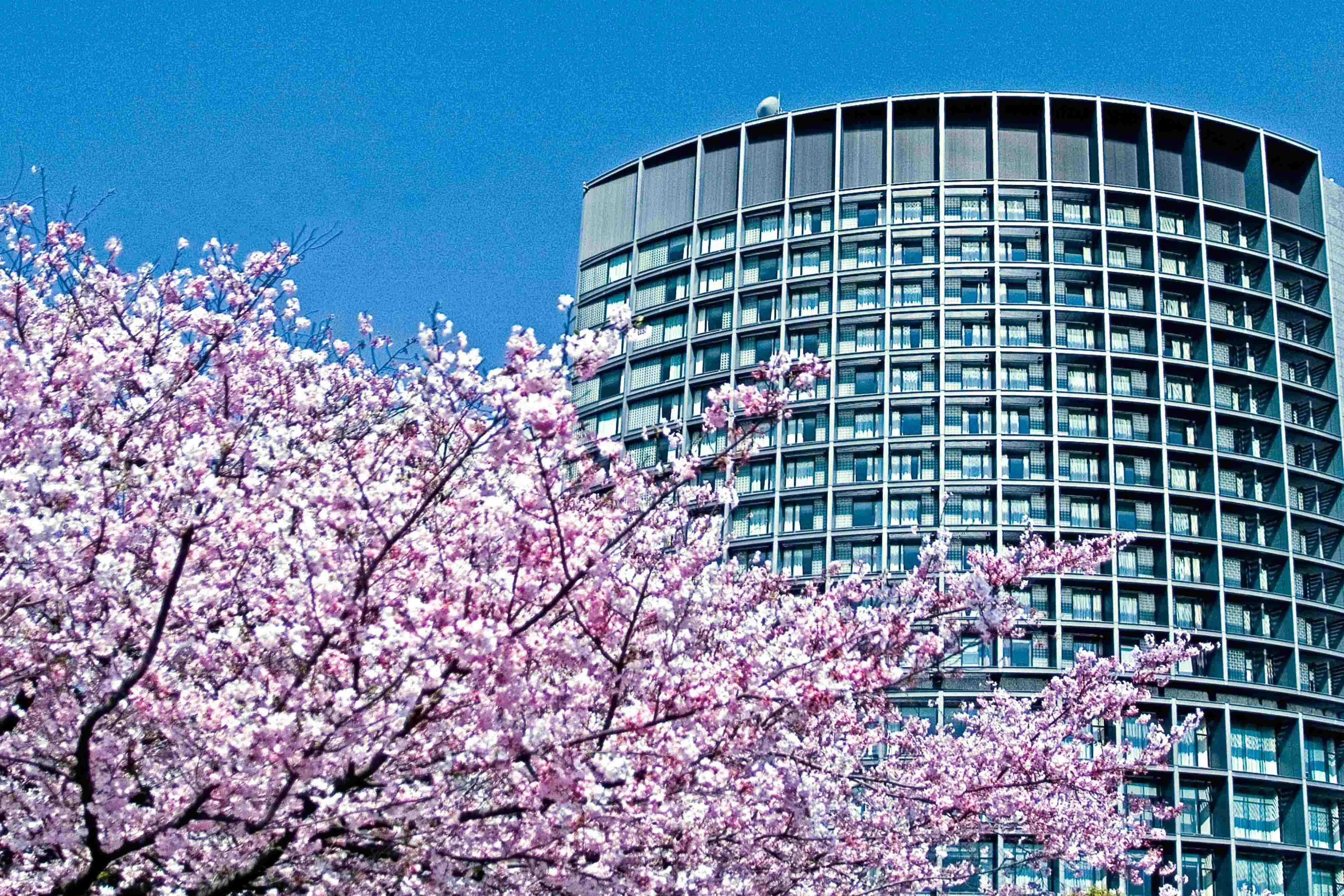 グランドアーク1